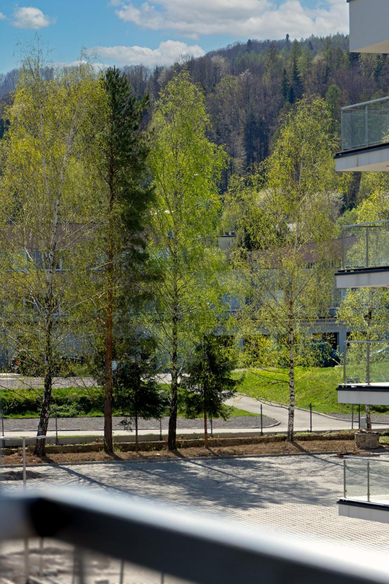 Szyndzielnia Hill Apartament # Nestapartamenty Bielsko-Biala Exterior foto